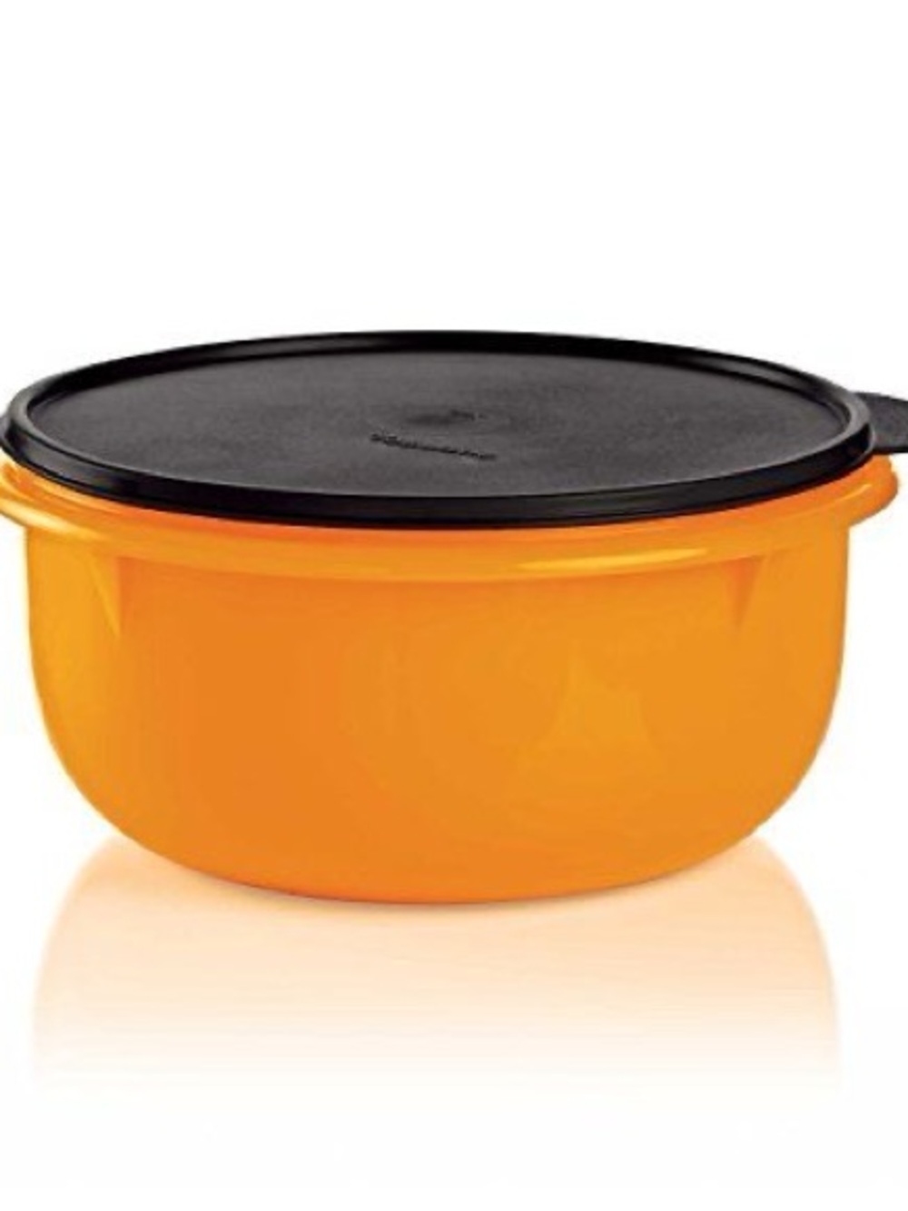 Tupperware Mega Bowl